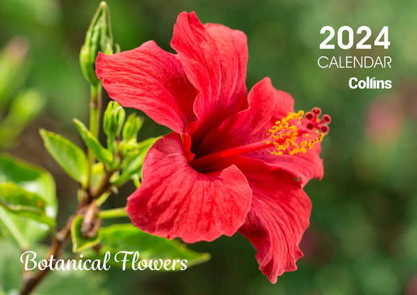 Collins Rosebank Wall Calendar A4 Botanical Flowers
