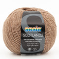 Sesia Scotland Tweed 4ply Yarn#Colour_1358