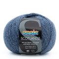 Sesia Scotland Tweed 4ply Yarn#Colour_1641