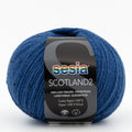 Sesia Scotland Tweed 4ply Yarn#Colour_1991
