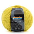 Sesia Scotland Tweed 4ply Yarn#Colour_3482