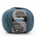 Sesia Scotland Tweed 4ply Yarn#Colour_3643
