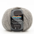 Sesia Scotland Tweed 4ply Yarn#Colour_74