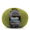 Sesia Scotland Tweed 4ply Yarn#Colour_75