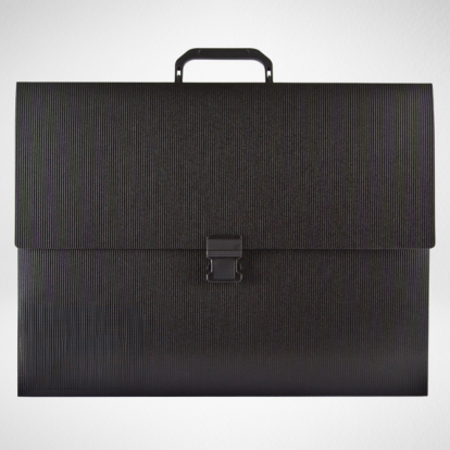 Project Bags