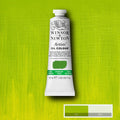 Winsor & Newton Artists Oil Colour Paints 37ml A-N#Colour_CADMIUM FREE GREEN PALE (S4)