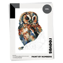 Reeves Paint by Numbers 12X16" Owl