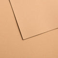 CANSON MI-TEINTES VELVET 50X65CM 430GSM Paper Pack of 10 Sheets#Colour_GOLDEN BEIGE
