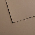 CANSON MI-TEINTES VELVET 50X65CM 430GSM Paper Pack of 10 Sheets#Colour_GREY BROWN