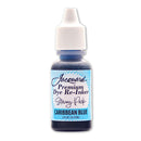 Jacquard Stacey Park Premium Dye Re-inkers 0.5 Oz