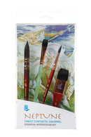 Princeton Neptune Professional Brush Box Set of 4