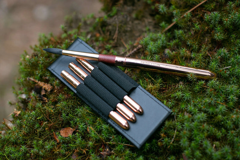 Princeton Neptune Travel Brush Set of 4