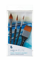 Princeton AquaElite Professional Brushes Box Set of 4