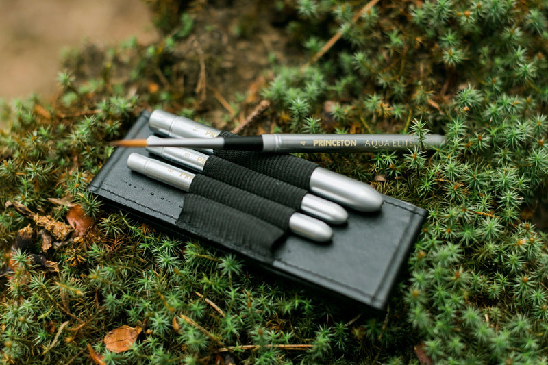 Princeton AquaElite Travel Brushes Set of 4