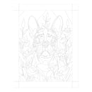 Jasart Byron Paint By Numbers 30X40CM Canvas Board Frenchie