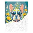 Jasart Byron Paint By Numbers 30X40CM Canvas Board Frenchie