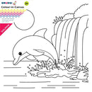 Smudgi 25X25CM Colouring Canvas Dolphin
