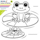 Smudgi 25X25CM Colouring Canvas Frog