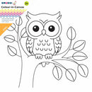 Smudgi 25X25CM Colouring Canvas Owl