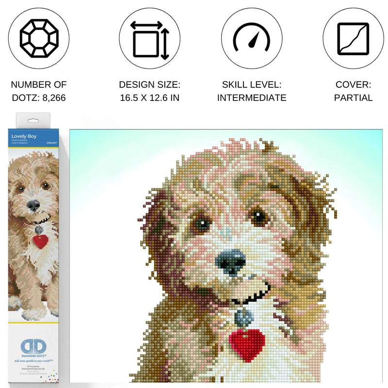 Diamond Dotz 12.6"x16.5" Diamond Painting Kit LOVELY BOY 