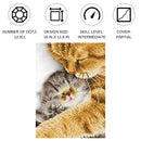 Diamond Dotz 11.8"x16.1" Diamond Painting Kit TENDER MOMENT 