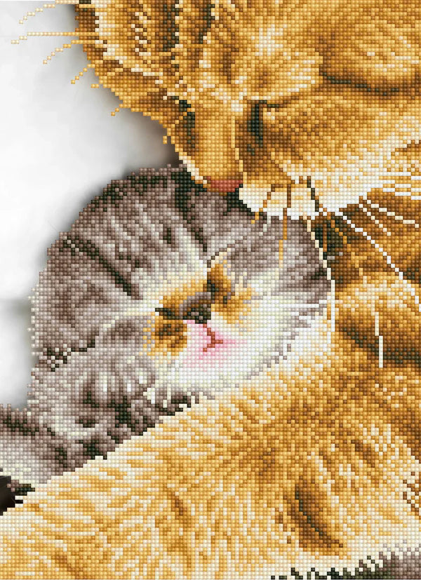 Diamond Dotz 11.8"x16.1" Diamond Painting Kit TENDER MOMENT 