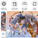 Diamond Dotz 29.5"x22.4" Diamond Painting Kit DREAM WEAVER 