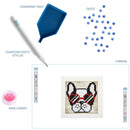 Diamond Dotz 13X13CM Quick Dots Cool Sunnies