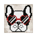 Diamond Dotz 13X13CM Quick Dots Cool Sunnies