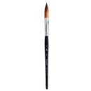 Princeton AquaElite Prism Brushes