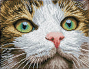 Diamond Dotz 27x35cm Diamond Painting Kit Green Eyed Beauty