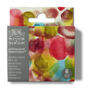 Winsor & Newton Professional Watercolour Paint Set of 6 Mindful