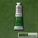 Winsor & Newton Winton Oil Colour Paint 37ml