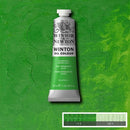 Winsor & Newton Winton Oil Colour Paint 37ml