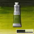 Winsor & Newton Winton Oil Colour Paint 37ml#Colour_SAP GREEN