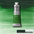 Winsor & Newton Winton Oil Colour Paint 37ml#Colour_TERRE VERTE