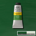 Winsor & Newton Galeria Acrylic Paint 60ml#colour_SAP GREEN