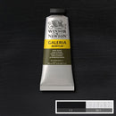 Winsor & Newton Galeria Acrylic Paint 60ml