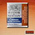 Winsor & Newton Cotman Watercolour Half Pans#Colour_BURNT SIENNA