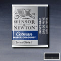 Winsor & Newton Cotman Watercolour Half Pan Paint#colour_PAYNES GREY