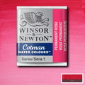 Winsor & Newton Cotman Watercolour Half Pan Paint#colour_PERMANENT ROSE