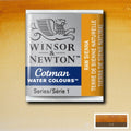 Winsor & Newton Cotman Watercolour Half Pan Paint#colour_RAW SIENNA