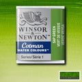 Winsor & Newton Cotman Watercolour Half Pan Paint#colour_SAP GREEN