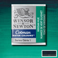 Winsor & Newton Cotman Watercolour Half Pan Paint#colour_VIRIDIAN HUE
