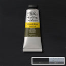 Winsor & Newton Galeria Acrylic Paint 60ml