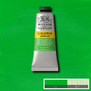 Winsor & Newton Galeria Acrylic Paint 60ml