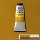 Winsor & Newton Galeria Acrylic Paint 60ml