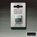 Winsor & Newton Professional Watercolour Half Pan#Colour_PERYLENE GREEN (S2)