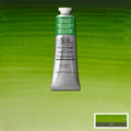 Winsor & Newton Professional Watercolour Paints 37ml#Colour_PERMANENT SAP GREEN