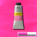 Winsor & Newton Galeria Acrylic Paint 60ml